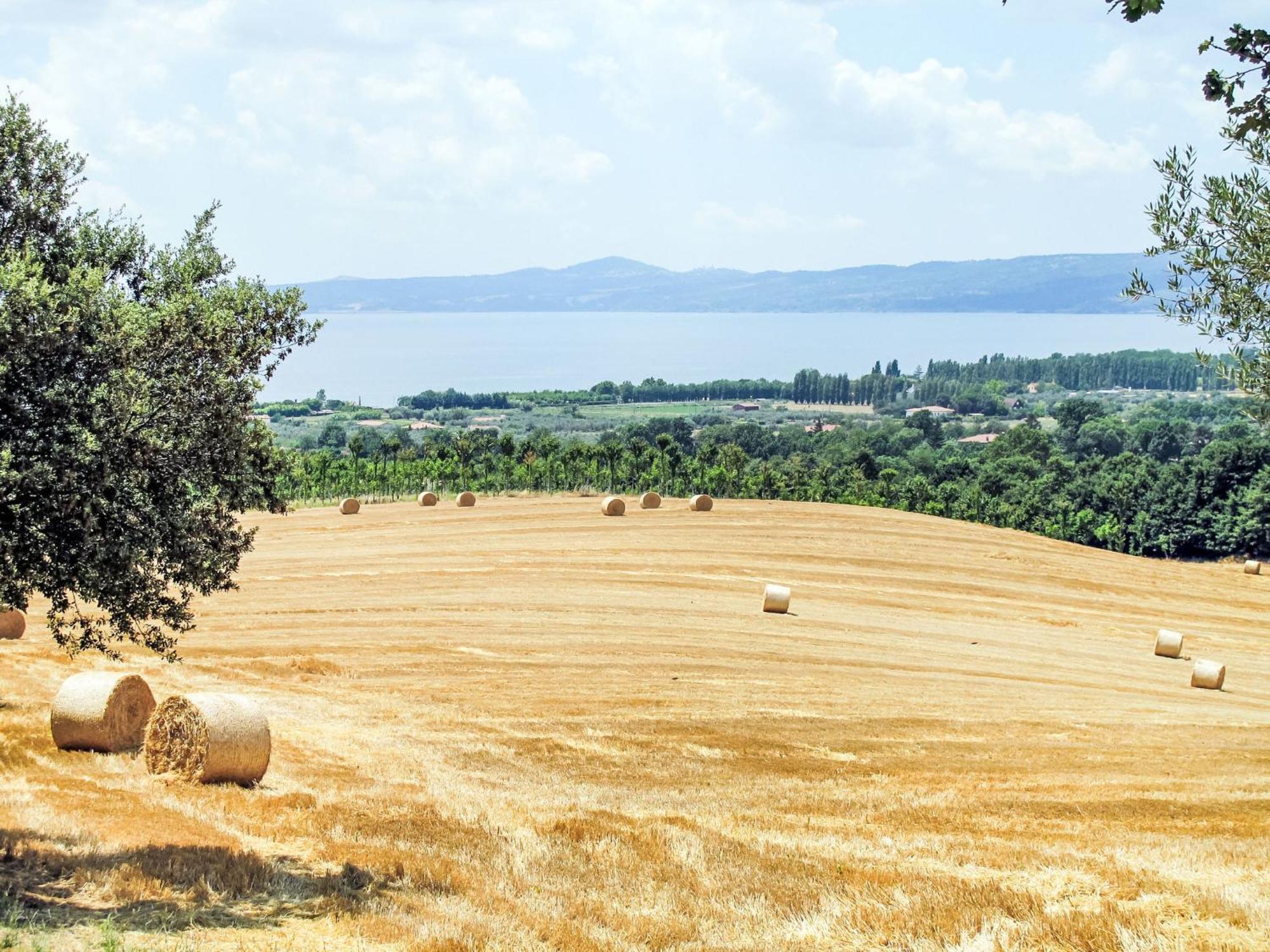 Holiday Home Chalet Del Lago By Interhome Bolsena Extérieur photo